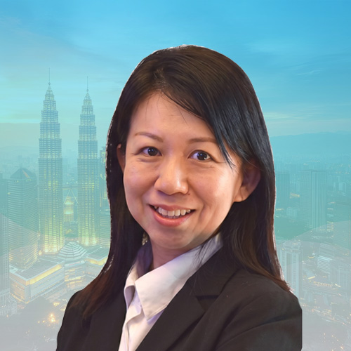 Ir. Tan Siew Hwa