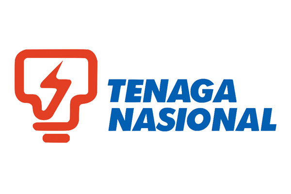 Chief Engineer (System Development & Efficiency)Asset Planning & Operation, Distribution Network, TNB