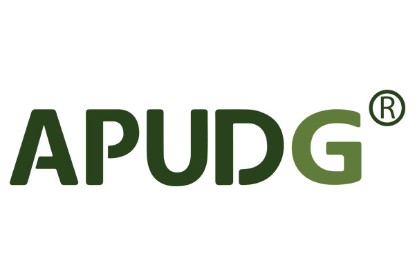 Senior Director and Strategic Planning Leader AJM Planning and Urban Design Group (APUDG)